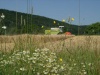 07060015.JPG