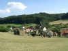 07270036.JPG